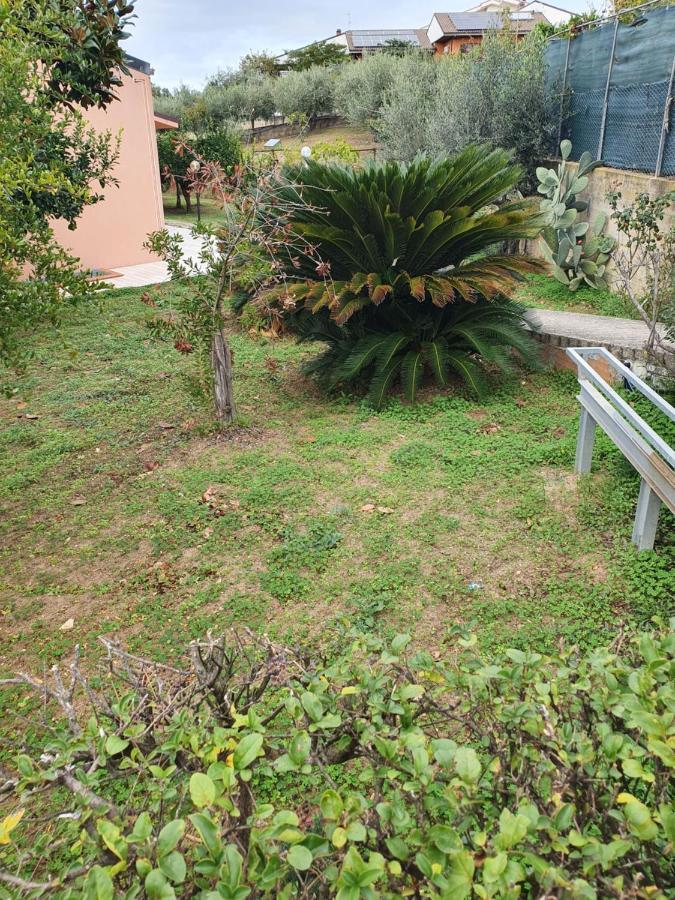 Casa Dell'Ape Maia Apartment Termoli Luaran gambar